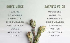 voice