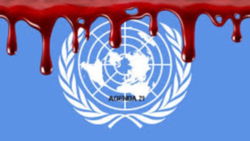 UN agenda-21-281
