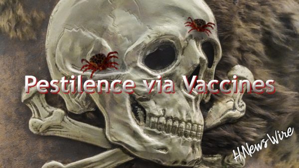 Profile 212 1 600x337 | death rates are up 40 percent over what they were pre-plandemic — pestilence via kill shots, they are deadly | news