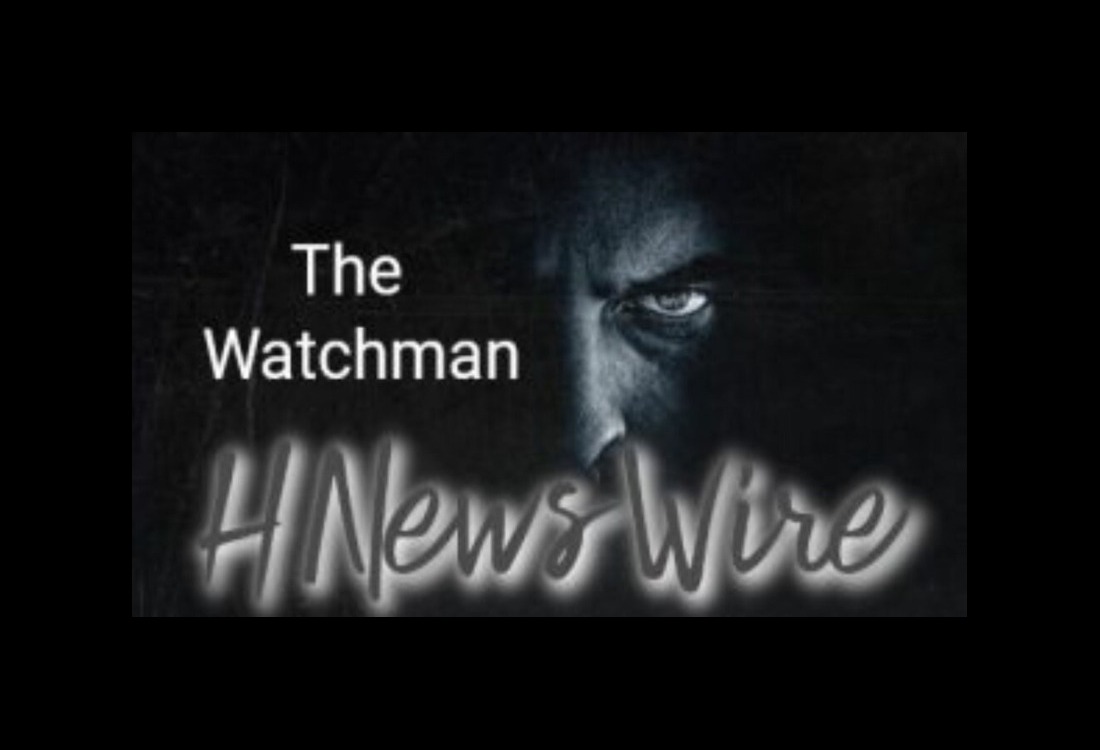 WatchmanNice-One-750-300x169-11