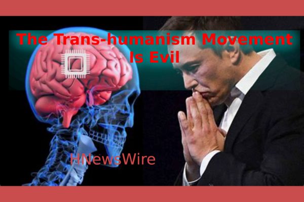 Musk Brain Dead