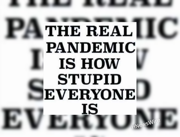 Stupid_Plandenic_with_bgc
