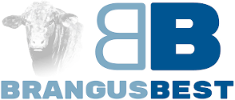 Ad 2